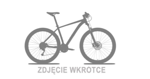 Rower Unibike Twist 20